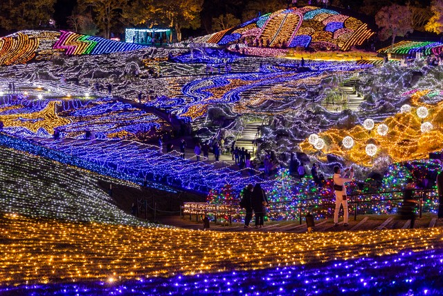 提供：国営讃岐まんのう公園2024シーズンメインイルミ