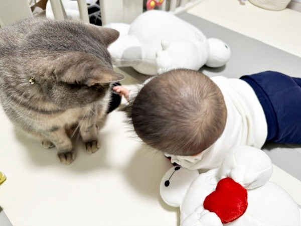 向き合って過ごすはまちくんと息子さん（画像提供：ごまちよ 0y(2024.07)さん）