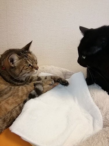 鞠ちゃんから生きる術を教わっています（雅子さん提供）