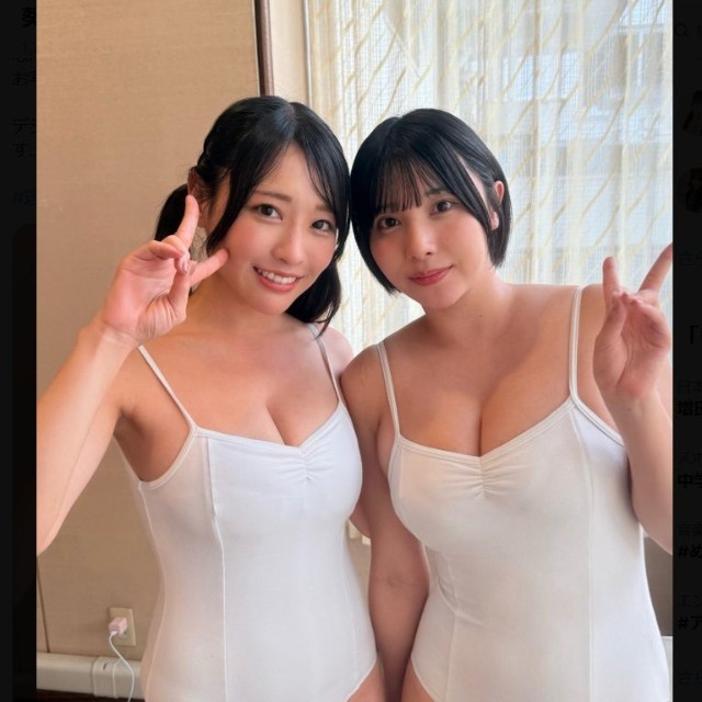 葵りんごのX(旧ツイッター)＠aoiringo_01より
