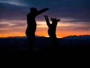 世界で一番大切な「妹」だった。愛犬の命日が「メメントモリ記念日」