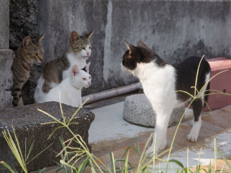 「わかってるわよね？」「は、はい」どちらがどちらに言ってるかな
（沖昌之　撮影 / 大和書房　提供）