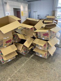 実はすごく丈夫なんです…（安達裕章さん提供）