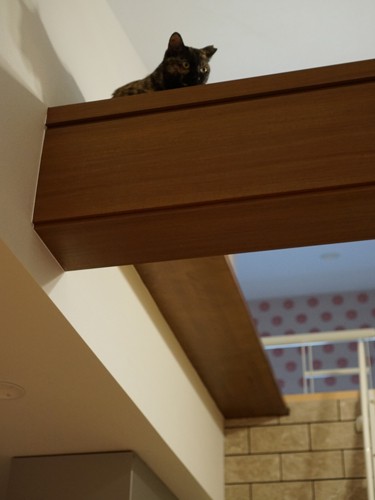 「部屋の様子が一目瞭然」