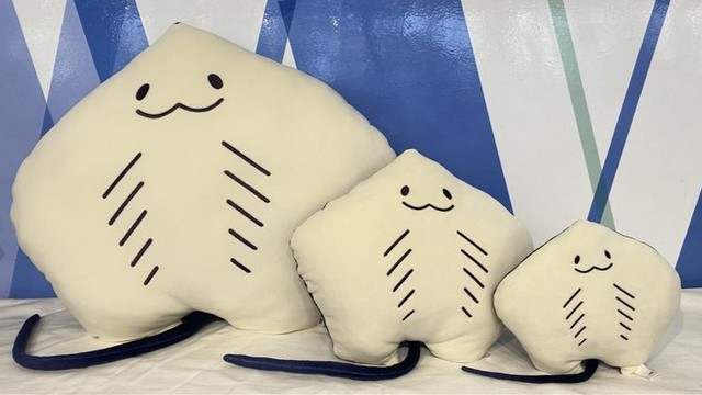 エイくんぬいぐるみ（左から特等、2等、3等）　四国水族館 提供