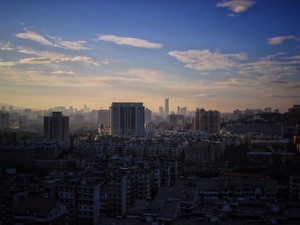 障害者雇用の就活を経験して考える。「ふつう」ってなんだろう