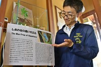「しあわせの青いカエル」の展示を紹介する田口勇輝学芸員＝島根県邑南町、瑞穂ハンザケ自然館