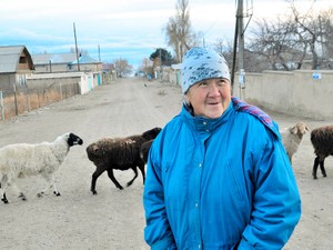 女性を奪って結婚する　キルギス「誘拐婚」に世界の厳しい視線