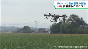 ドローンで農薬散布実証実験　飼料用トウモロコシ栽培を進める宮城・大崎市
