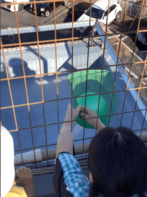 問題は、柵の乗り越え方