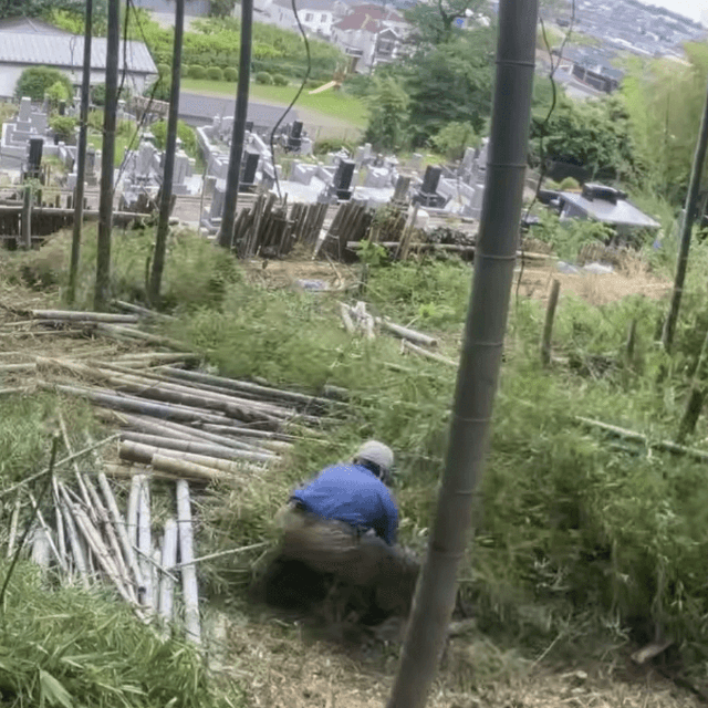 大量の竹を傾斜地から搬出（画像提供：梅鉢TMC)