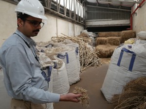 稲わら使った航空燃料で大気汚染も減らす？インドで進む開発、高まるSAFの存在感