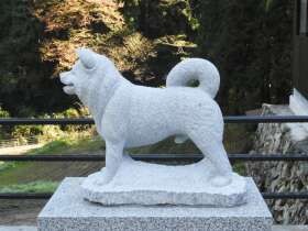 おかえり！　柴犬のルーツ石州犬「石」、石像になって故郷に戻る