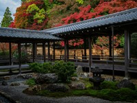 あの人のためにこっそり計画した秋の京都旅。何気ない幸せに気づいた