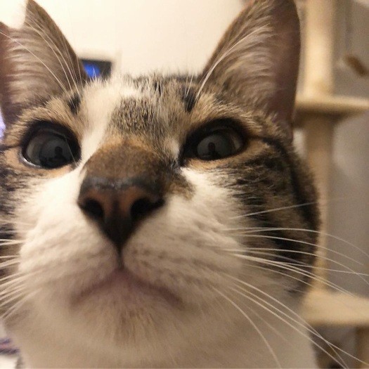 どアップでも可愛いんです！