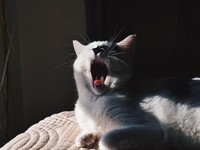 垢抜けたら、鉄板の自虐ネタ「堀北真希に似てると言われた」がスベる