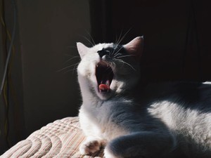 垢抜けたら、鉄板の自虐ネタ「堀北真希に似てると言われた」がスベる