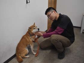 犬や猫の「ストレス診療科」開設　「心の問題、力になりたい」