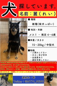 迷い犬の飼い主に付け込んだ悪質な詐欺未遂事案に非難の嵐…（華さん提供）