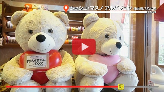 #19ムッシュ・マスノ アルパジョン(2)