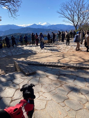 12月に田形さんがルナを高尾山連れていった時。犬もクレートに入れればケーブルカーに乗れるので、ルナのマイクレート持参し、そのクレートを、帰りがけに他の中型犬が使えるように高尾山口に寄付してきたそうです「ルナと書いてあるクレートよ。どうぞ使ってねByルナ！」（田形さん提供）