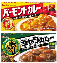 ネット上で人気のブレンド例は「バーモントカレー」甘口と「ジャワカレー」中辛の組み合わせ（ハウス食品提供）