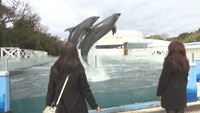 新屋島水族館でバレンタインの特別企画