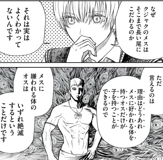 メスに好かれる体を持つことは生存戦略として必須（小出もと貴さん提供）