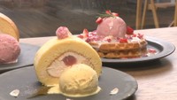 桜の香りと上品な甘さ　和菓子のような期間限定「桜のロールケーキ」　岡山【ほっとマルシェ】