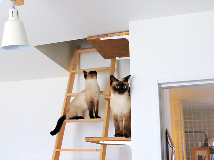 楽しそうなお家。