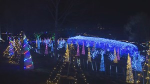 イルミネーションイベント春あかり　宮城・やくらいガーデン