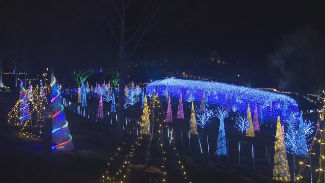 イルミネーションイベント春あかり　宮城・やくらいガーデン