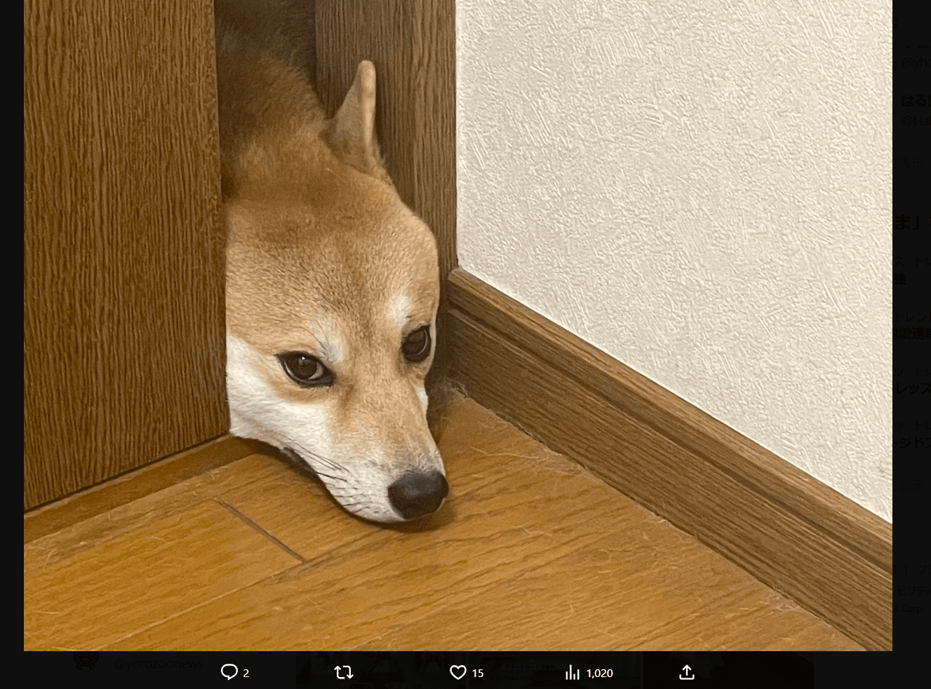 マサルコのX（@_masaruko_）より