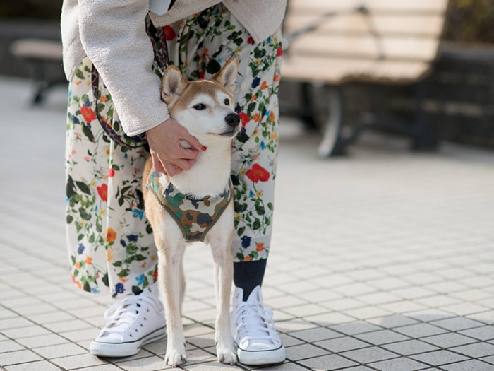 「へへ、ぼくはママと仲良しなんだ」（小林写函撮影）