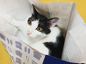 ここなら見つからないはず！ 隠れんぼ中のMIX「ザイオン」　