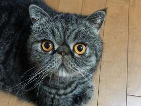 なんだか今日は足の裏がスース―する気が…　エキゾチック「春」