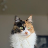 休日、一緒にまったり過ごすのも幸せ