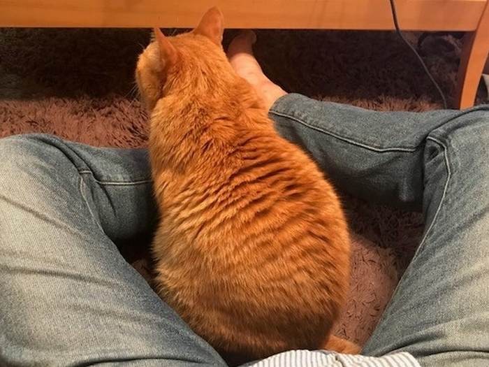 「出られなくなっちゃった」