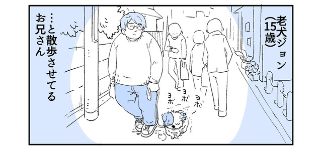 年老いたジョンとお兄さんは、いつも同じ時間に散歩していました（提供：みつつぐさん）