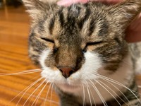 （飼い主提供）