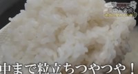 粒が立っておりつやつや／YouTube「【土鍋とも比較！】炊飯器1万円～10万円、価格で本当にご飯の味は変わるのか！？」より