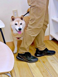 病院で診察の順番がきたぱんくん。名前を呼ばれるとーー（画像提供：Greenさん）