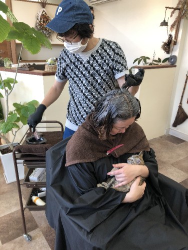 猫好きのお客さんには、至福の時間を提供（ただのびようしつ提供）