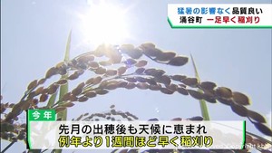 宮城・涌谷町で極早生「おもてなし」の稲刈り始まる