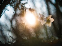 伝えきれなかった祖母への感謝。人はいつも、別れのあとで初めて気づく