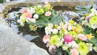 ハスの花びらをかたどった限定のご朱印帳も♪　香川県の7つの寺で「花手水」がお出迎え