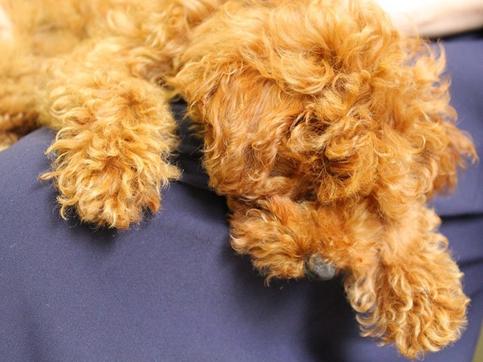 リラックスして眠くなった子