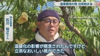 桃の生産者／石川裕之さん