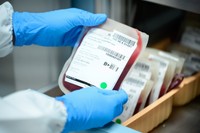 これそっくりのカイロがもらえる？(arcyto/stock.adobe.com)