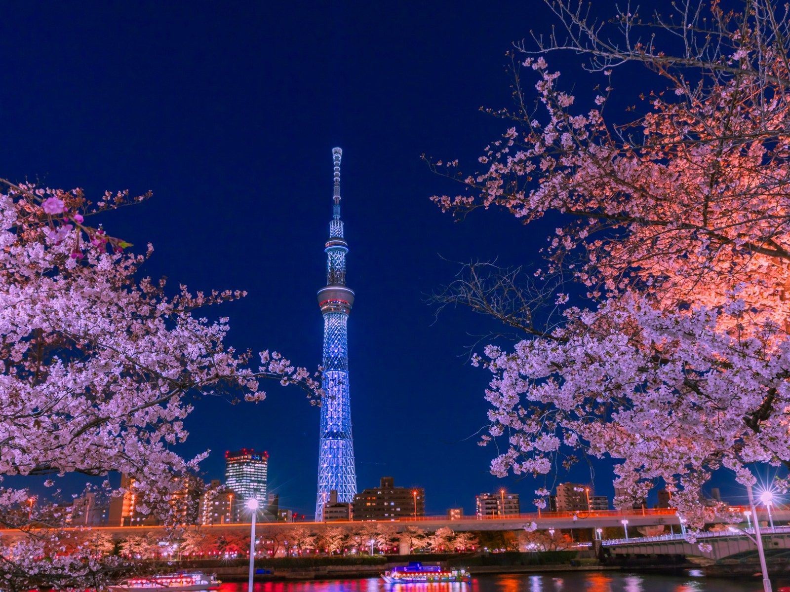 当時のメディア報道・掲載写真